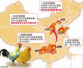 浙江发出人禽流感橙色预警.jpg