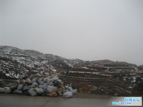 IMG_0611 (中等).JPG