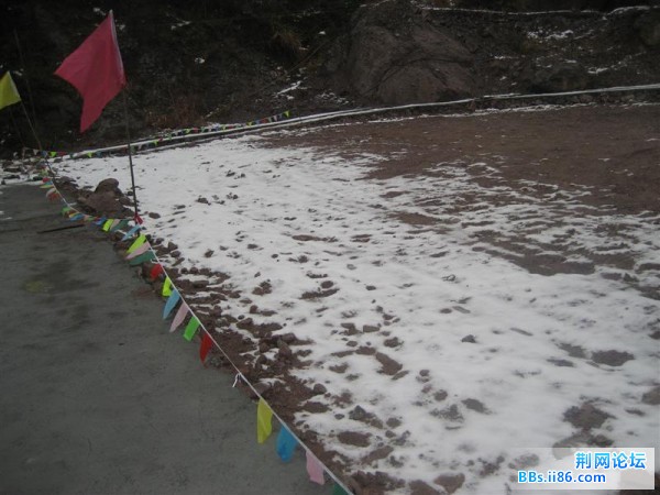 IMG_0613 (中等).JPG