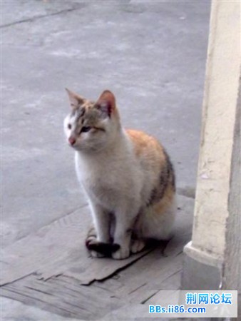 20090213113 (小).jpg