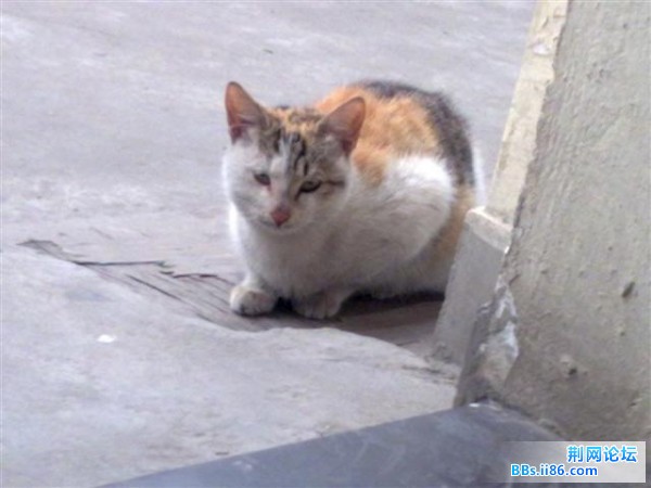 20090213115 (小).jpg