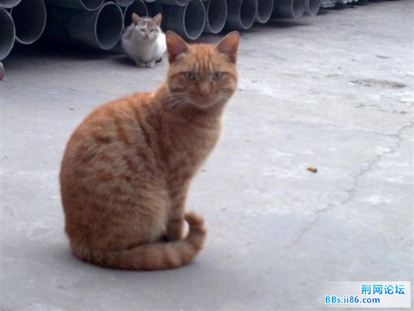 20090213111 (小).jpg