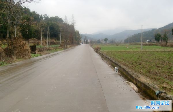 SDC12947.jpg