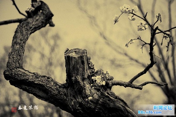 182314-115102834_d (中等).jpg