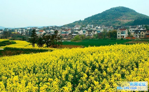 182314-731166876_d (中等).jpg