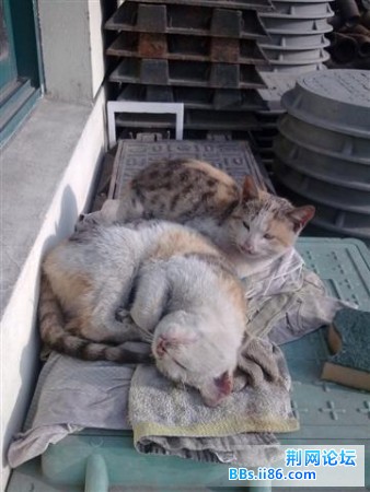 20090320278 (小).jpg