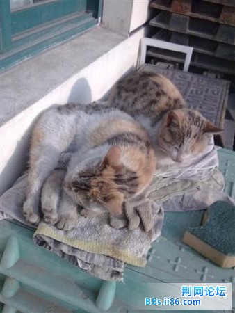 20090320279 (小).jpg