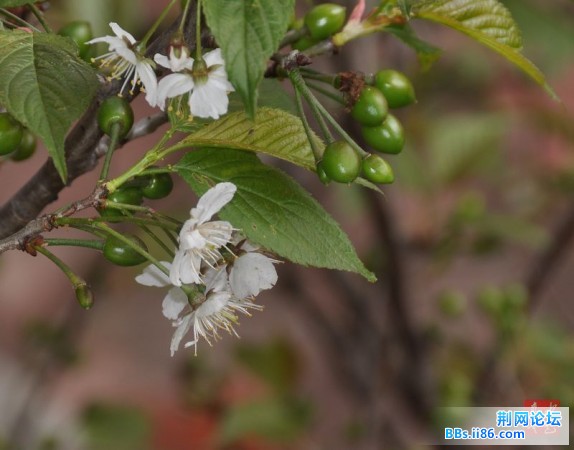 坐着没事拍的微距