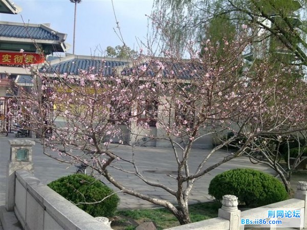 20090324302 (小).jpg