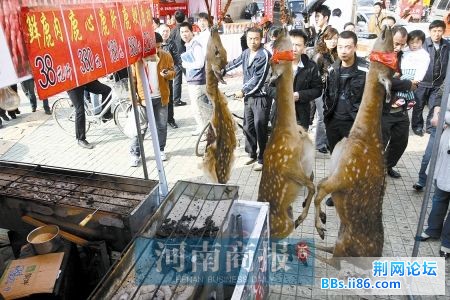 这样卖鹿肉谁能吃下去？.jpg