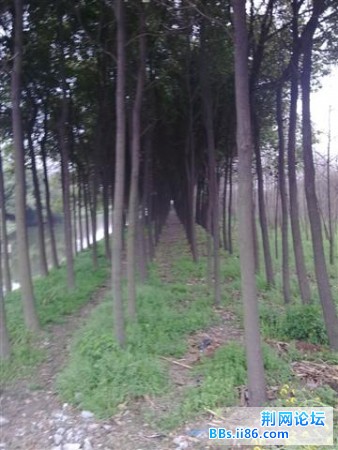 20090328331 (小).jpg