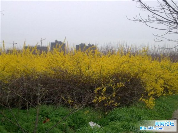 20090328330 (小).jpg