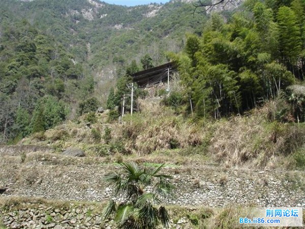 山上的房子，仅此一座哦！