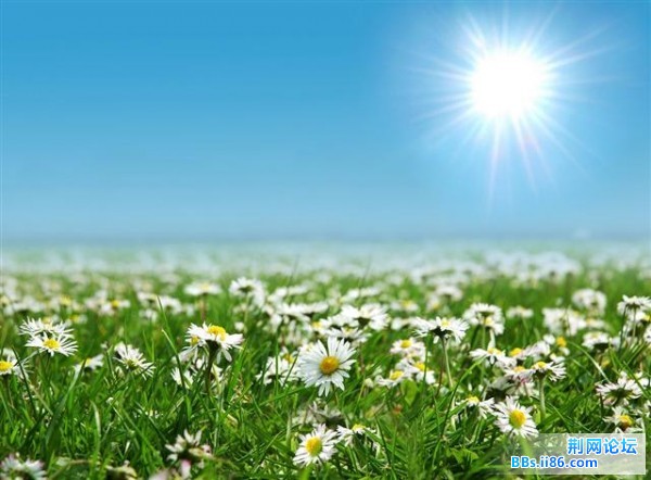 20090320015110239 (小).jpg