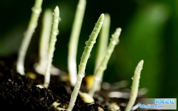 20090322114344563 (小).jpg