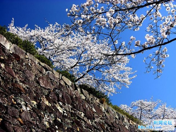 20090303064102112 (小).jpg