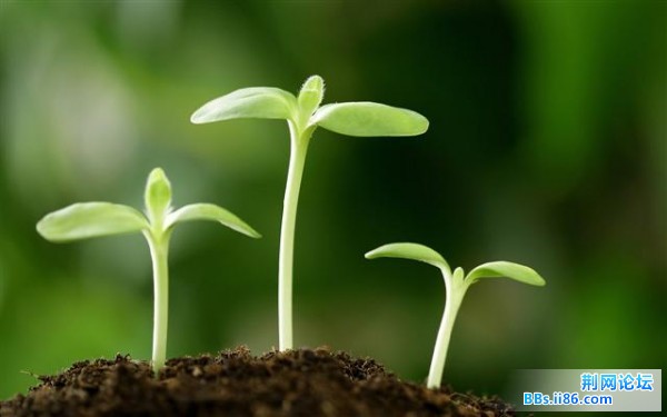 20090322114307900 (小).jpg