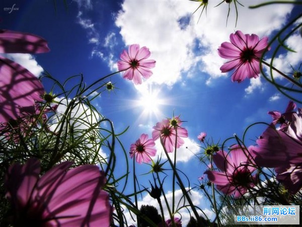 20090328121723719 (小).jpg