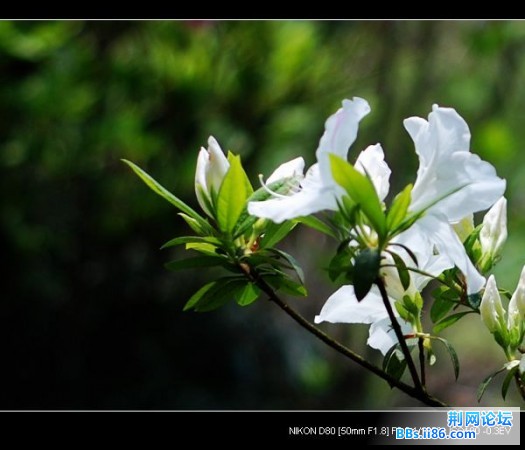 DSC_1992_nEO_IMG.jpg