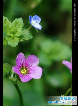 DSC_1989_nEO_IMG.jpg