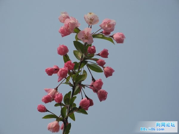 IMG_3641.jpg