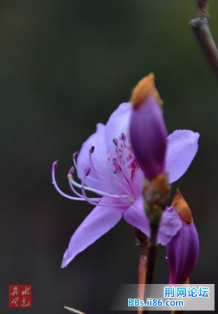 DSC_0039.JPG