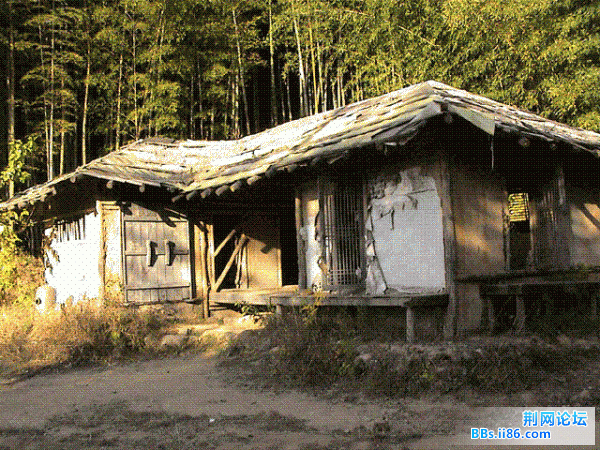 14d8f6ef7c29ac6d2581b14c39257f50 (小).gif