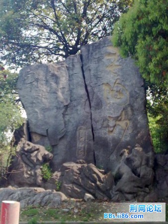 20090415453 (大).jpg