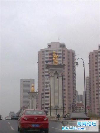 20090416459 (中等).jpg
