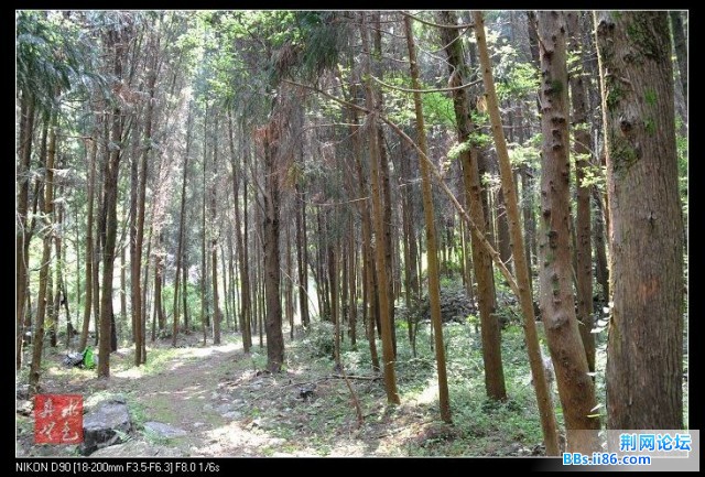 风景学拍-17.jpg