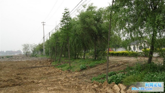 照片 019 (大).jpg