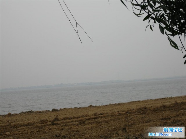 照片 014 (大).jpg