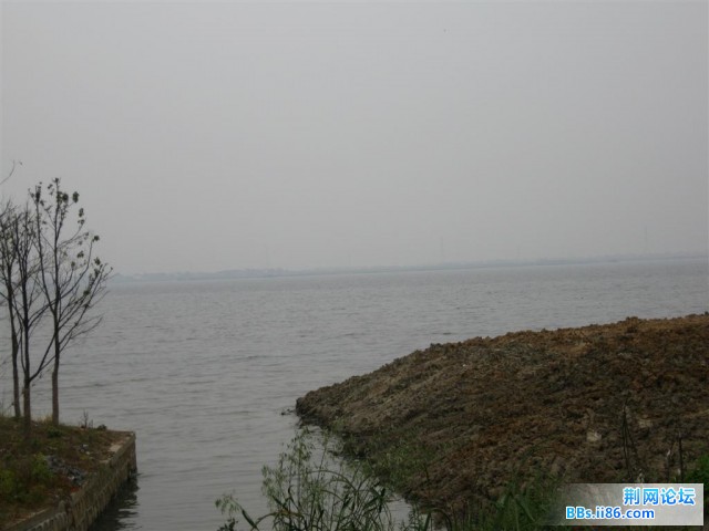 照片 012 (大).jpg