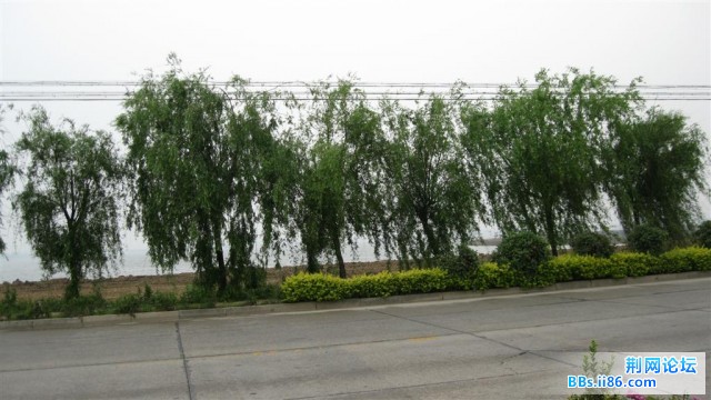 照片 020 (大).jpg