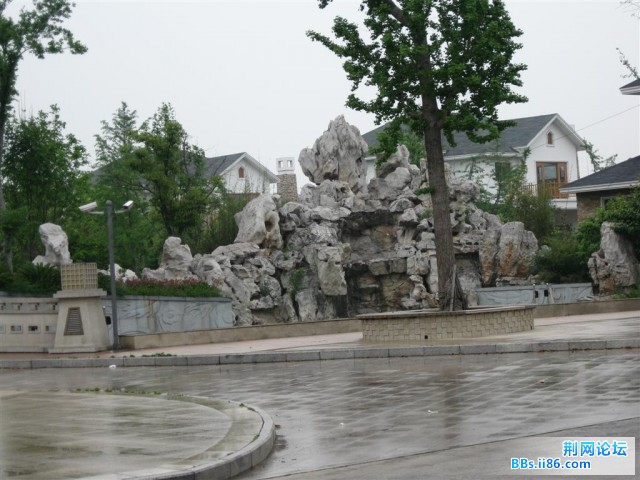 照片 011 (大).jpg