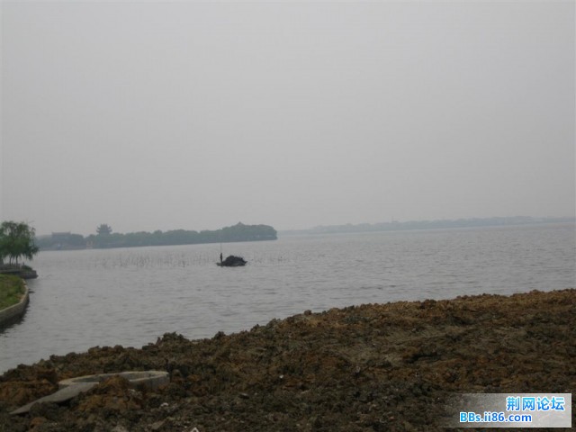 照片 013 (大).jpg