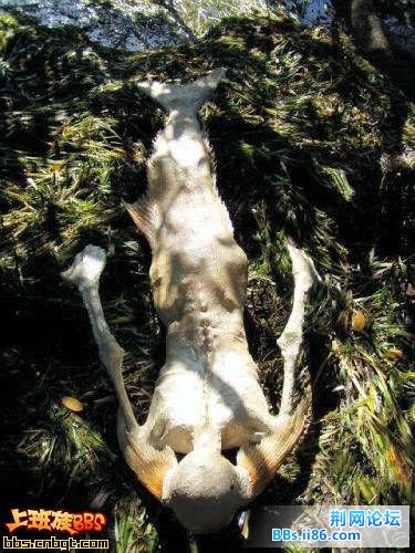 照片 006 (大).jpg