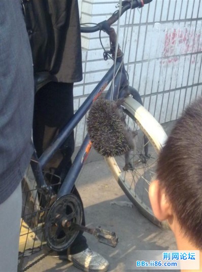 20090529716 (中等).jpg