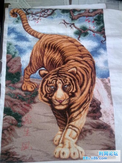 20090531729 (大).jpg