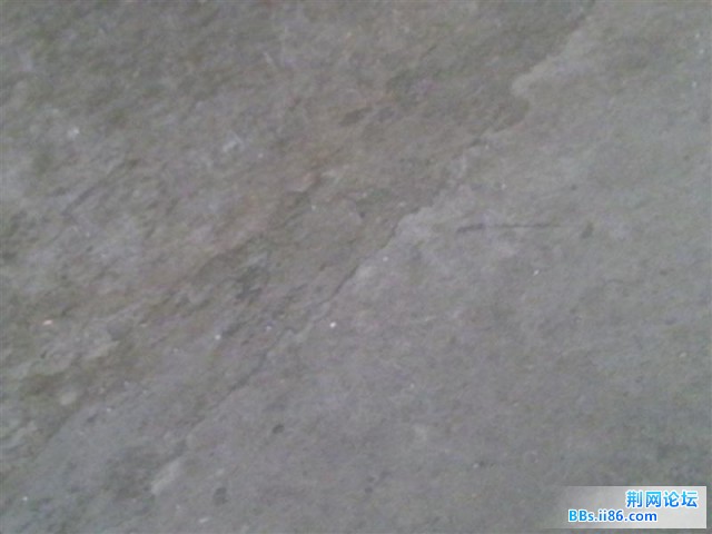 20090605737 (中等).jpg