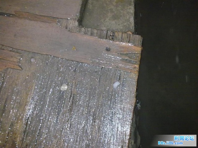 20090605734 (中等).jpg