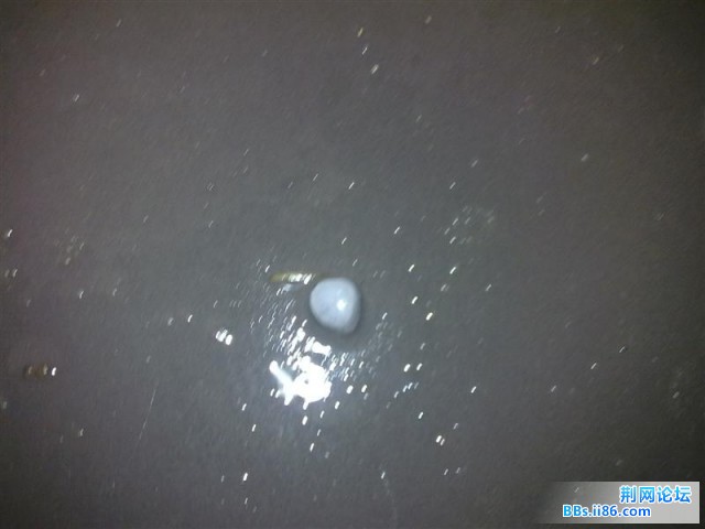 20090605735 (中等).jpg