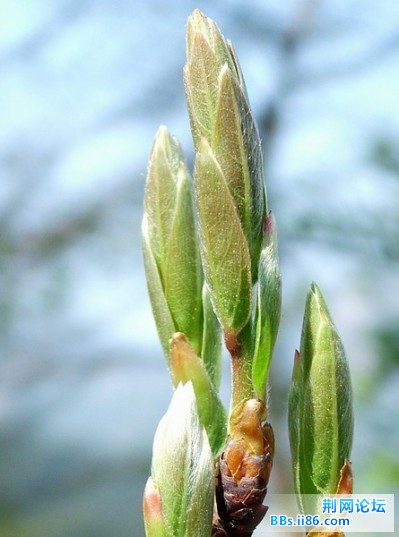 DSCF2510.JPG