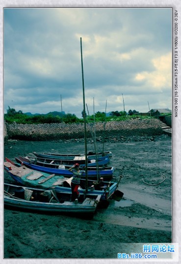 DSC_5060.JPG