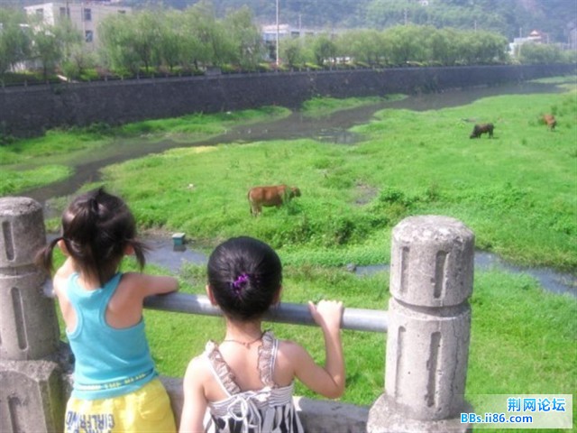 欣赏完日偏食，再来欣赏一下“牛”