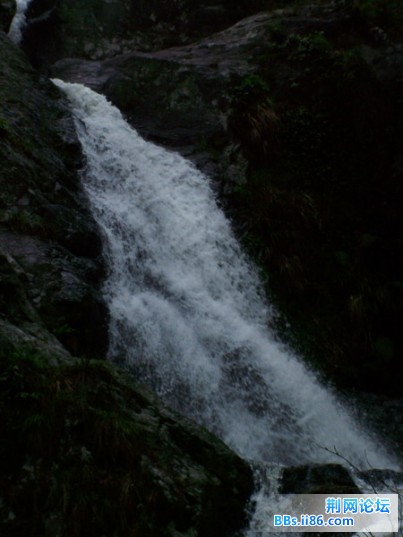 ZY051.JPG