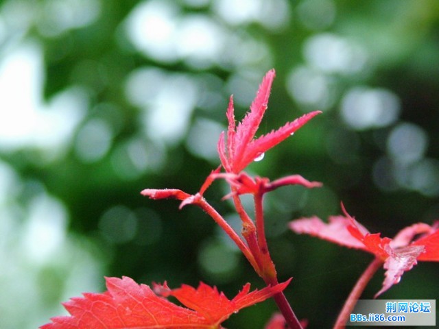 DSCF5202.JPG