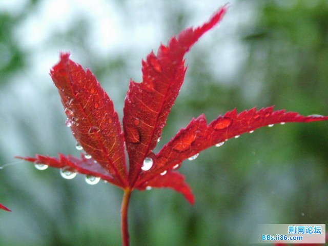 DSCF5201.JPG