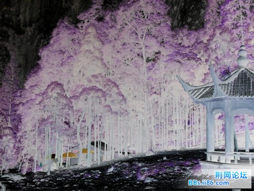 看看不一样的感觉