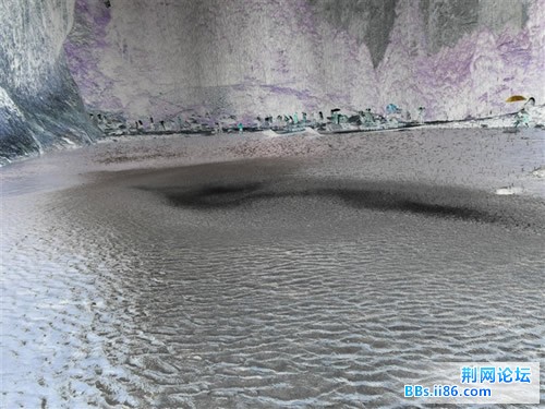 白龙啊 黑白反过来了